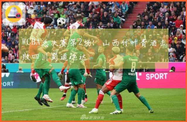 WCBA总决赛第2场：山西竹叶青酒击败四川蜀道远达